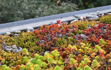the cost of Stagbatch green roof installation