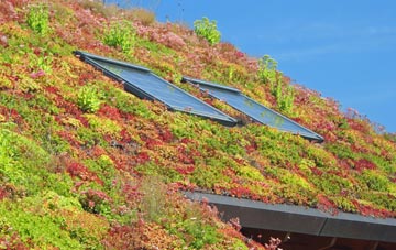 Stagbatch living roof systems