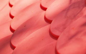 Stagbatch plastic roof costs