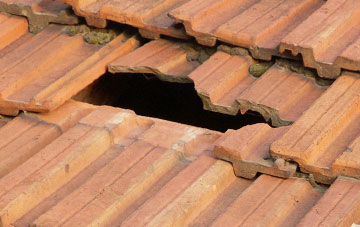 roof repair Stagbatch, Herefordshire
