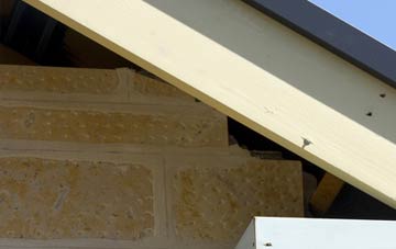soffit repair Stagbatch