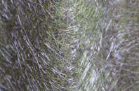 Stagbatch fibreglass roof work